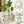 Hydroponic Glass Vases Set 8