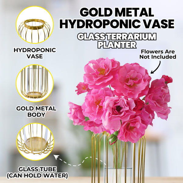 Gold Metal Hydroponic Vase, Glass Terrarium Planter, Propagation Vase Home Decor 9 inch 22 cm
