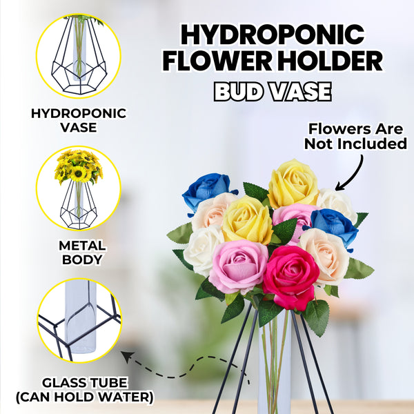 Metal Hydroponic Flower Vase, Glass Terrarium Pot, 9" Table Decor by Sona Casa