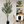 Large Nearly Natural Artificial Olive Tree with Black Olives, 47