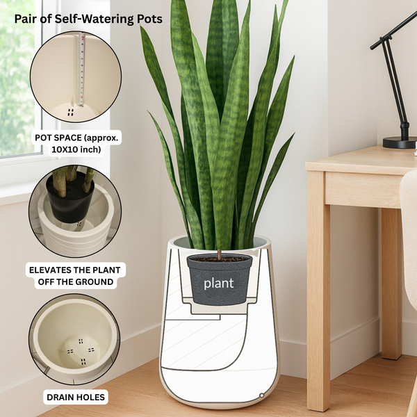 Set of 2 Modern Tall White Indoor Self Watering Decorative Planter, 19 in Contemporary Flower Pot Home, Office Decoration, Gift-Sona Casa