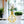 Gold Metal Hydroponic Flower Pot, Glass Propagation Tube, 7