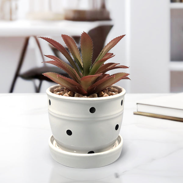 Potted Artificial Succulent in White Planter, 5" Desktop Decor Home Office by Sona Casa