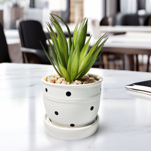 Potted Fake Plant, 5" Artificial Succulent in Ceramic Planter Home Decor by Sona Casa