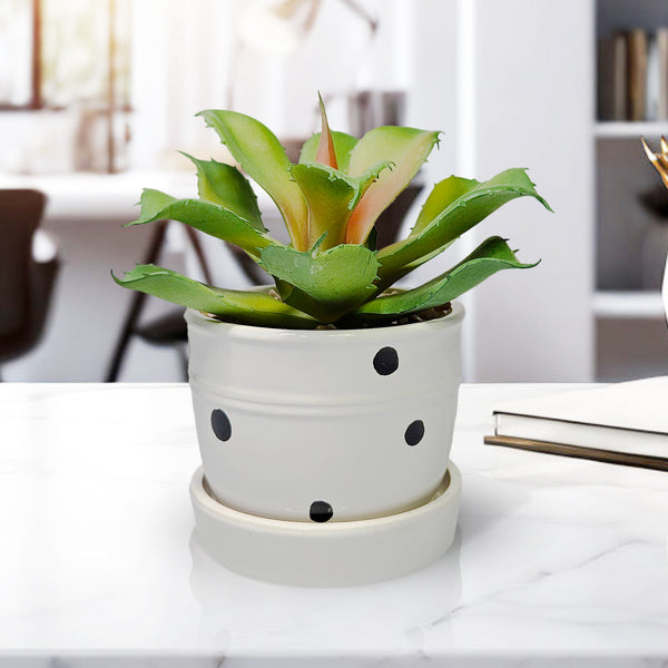 Potted Agave, 5" Artificial Succulent in White Ceramic Planter Home Decor by Sona Casa