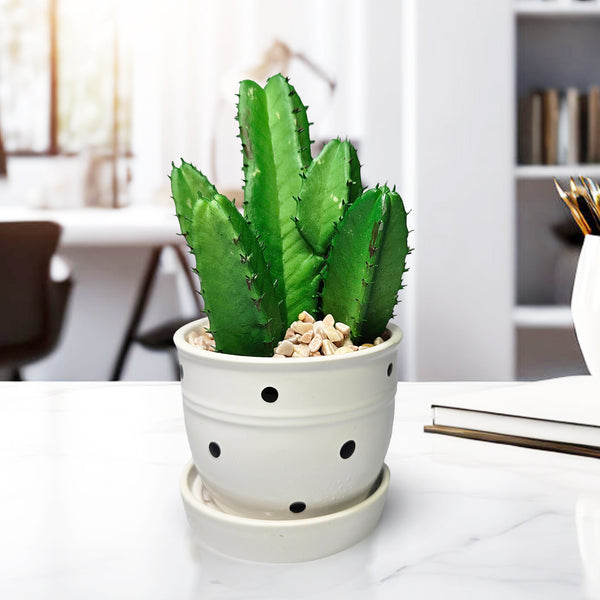 Potted Faux Mini African Milk Tree, 5" Artificial Cactus in White Planter by Sona Casa