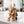 Buddha Statue on Elephant Figurine, 10