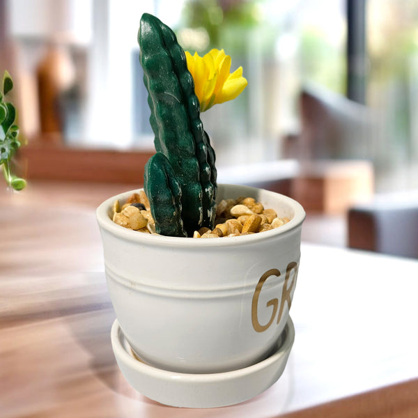 Artificial Potted Plant in White Planter, 5" Mini Columnar Cactus Decor by Sona Casa