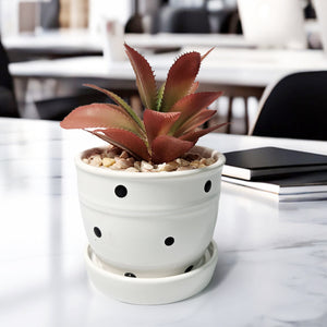 Potted Artificial Succulent in White Planter, 5" Desktop Decor Home Office by Sona Casa
