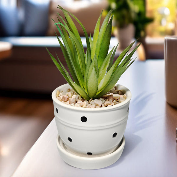 Potted Fake Plant, 5" Artificial Succulent in Ceramic Planter Home Decor by Sona Casa