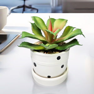 Potted Agave, 5" Artificial Succulent in White Ceramic Planter Home Decor by Sona Casa