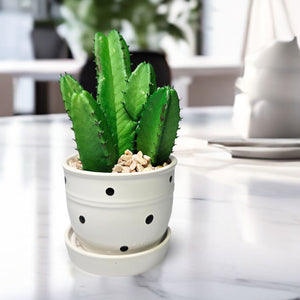 Potted Faux Mini African Milk Tree, 5" Artificial Cactus in White Planter by Sona Casa