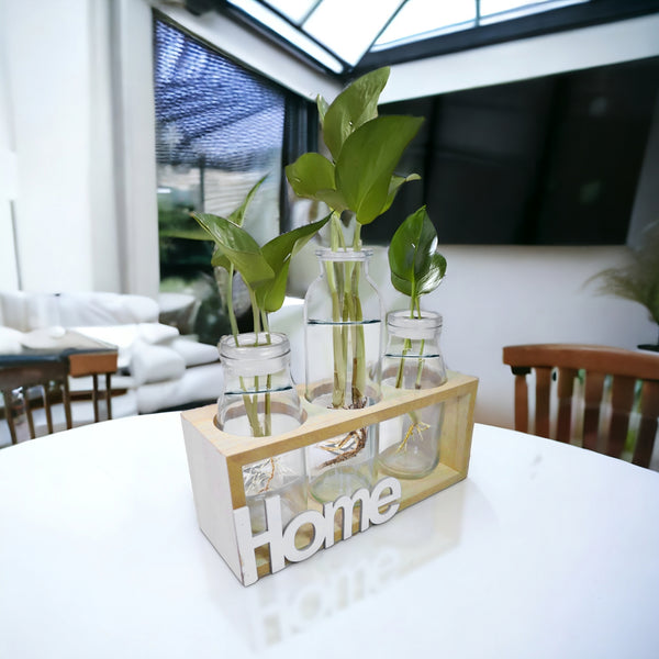 Hydroponic Glass Vases 1 Large, 2 Small, Propagation Pot, Terrarium Glass, Brown Wooden Support Home Design Tabletop Centerpiece 8 inch 20 cm | Home Decor