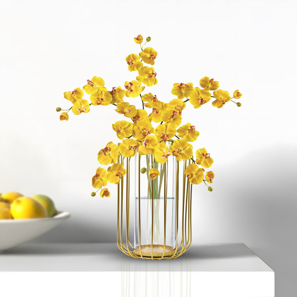 Gold Metal Hydroponic Vase, Glass Terrarium Planter, Propagation Vase Home Decor 9 inch 22 cm