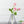 Metal Hydroponic Flower Vase, Glass Terrarium Pot, 9