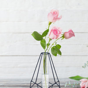 Metal Hydroponic Flower Vase, Glass Terrarium Pot, 9" Table Decor by Sona Casa