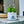 Small Potted Artificial Flowers, 6