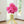 Gold Metal Hydroponic Flower Pot, Glass Propagation Tube, 7
