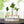 Hydroponic Glass Vases 1 Large, 2 Small, Propagation Pot, Terrarium Glass, Brown Wooden Support Home Design Tabletop Centerpiece 8 inch 20 cm | Home Decor