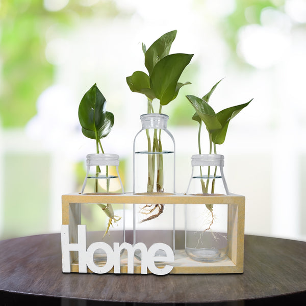 Hydroponic Glass Vases 1 Large, 2 Small, Propagation Pot, Terrarium Glass, Brown Wooden Support Home Design Tabletop Centerpiece 8 inch 20 cm | Home Decor