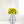 Metal Hydroponic Flower Vase, Glass Terrarium Pot, 9