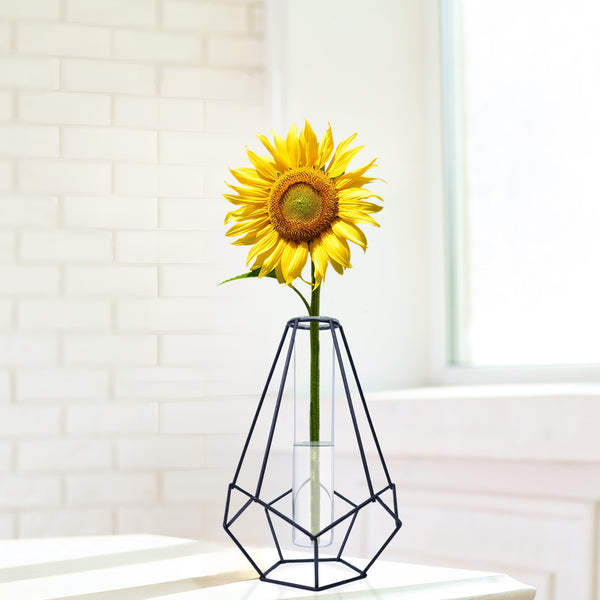 Metal Hydroponic Flower Vase, Glass Terrarium Pot, 9" Table Decor by Sona Casa