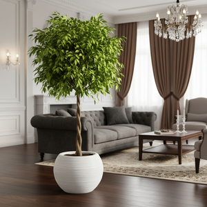 Round Self Watering Plant Pot, Indoor Home, Office, Patio, Front Porch, Decor, 18" Succulent Planter-Sona Casa