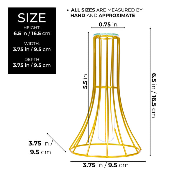 Hydroponic Vase, Gold Metal, Glass Propagation Terrarium Pot 7" Tabletop by Sona Casa