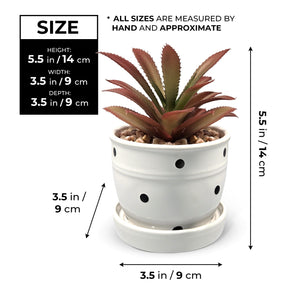 Potted Artificial Succulent in White Planter, 5" Desktop Decor Home Office by Sona Casa