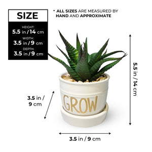 Fake Haworthia Succulent in White Ceramic Planter 5" Tabletop Centerpiece by Sona Casa