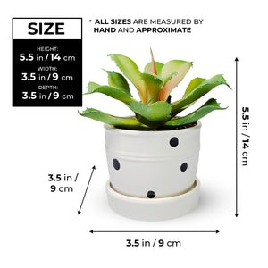 Potted Agave, 5" Artificial Succulent in White Ceramic Planter Home Decor by Sona Casa