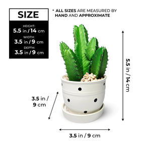 Potted Faux Mini African Milk Tree, 5" Artificial Cactus in White Planter by Sona Casa