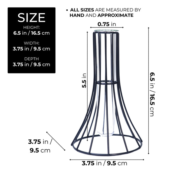 Hydroponic Terrarium Propagation Vase, 7" Tabletop Centerpiece Home Decor