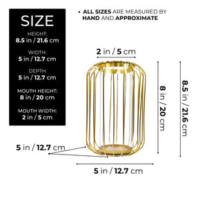 Gold Metal Hydroponic Vase, Glass Terrarium Planter, Propagation Vase Home Decor 9 inch 22 cm