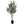 Large Nearly Natural Artificial Olive Tree with Black Olives, 47