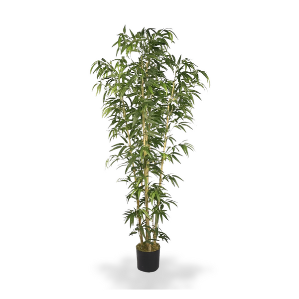 Artificial Bamboo Tree 4 ft Tall, Indoor Silk Bamboo, Realistic Fake Plant for Living Room Office Home Decor-Sona Casa