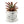 Potted Artificial Succulent in White Planter, 5