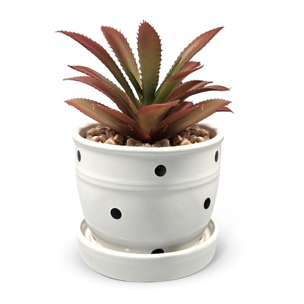 Potted Artificial Succulent in White Planter, 5" Desktop Decor Home Office by Sona Casa
