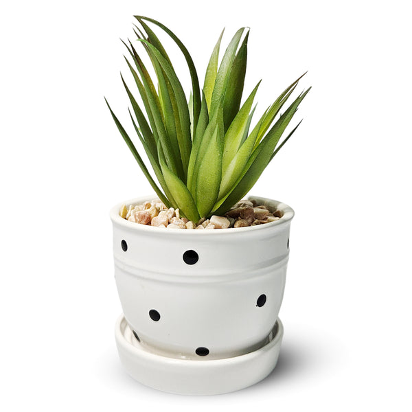 Potted Fake Plant, 5" Artificial Succulent in Ceramic Planter Home Decor by Sona Casa