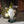 Welcome Gnome with Solar Powered Garden Lamp, Green White, Polyresin Lawn Gnome Statue, Patio Statue 13 inch 33 cm by Sona Casa