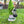Welcome Gnome with Solar Powered Garden Lamp, Green White, Polyresin Lawn Gnome Statue, Patio Statue  13 inch 33 cm
