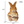Charming Bunny Trio