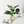 Golden Ceramic Planter with Faux Plant - 18