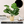 Golden Ceramic Planter with Faux Plant - 18