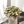 Woven Small Basket for Dry Flowers, 11